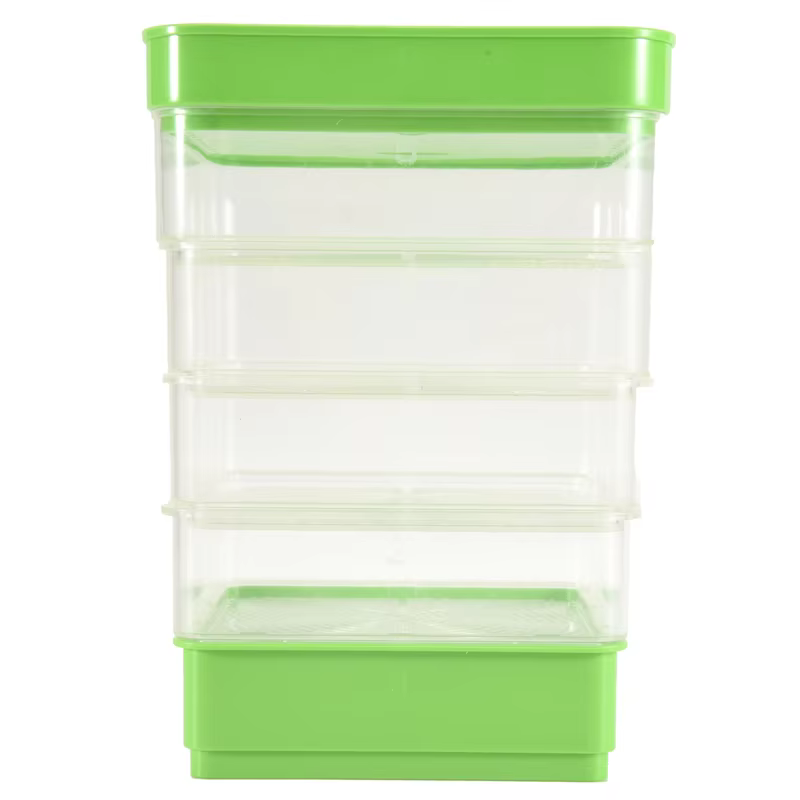 Kit de Germination de graines de haricots