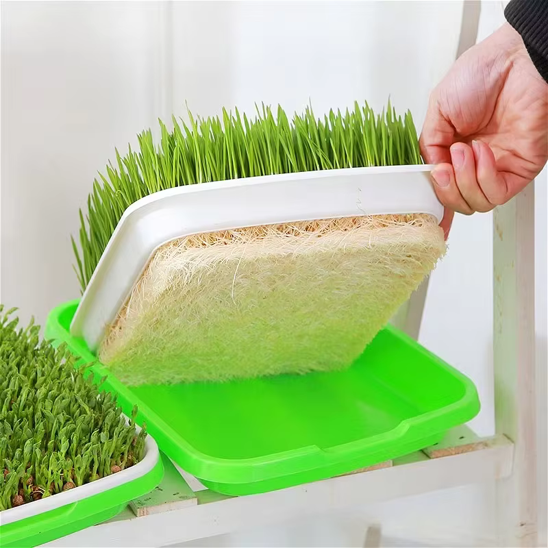 Kit de germination rapide pour semis