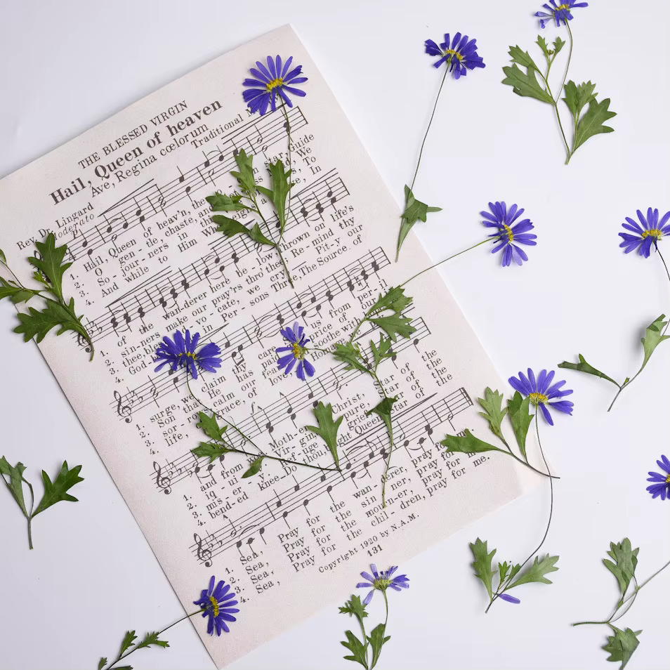 12 pièces, fleurs pressées séchées à l'iris à tige violette