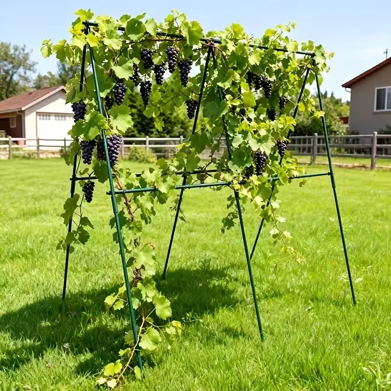 Nouveau treillis de support robuste pour plantes 2026 – 3 traverses horizontales et 6