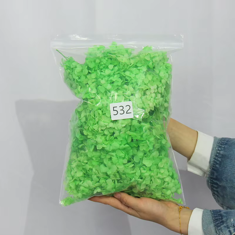 Une qualité Anna rentable conservé 100% naturel véritable hortensia en gros éternelle immortelle fleur fraîche fête de mariage décor Floral