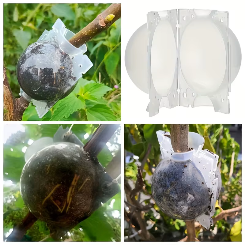 Boule d'enracinement de plantes à haute pression
