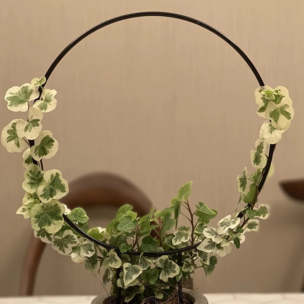 Piquet de support de plante de jardin en forme de coeur