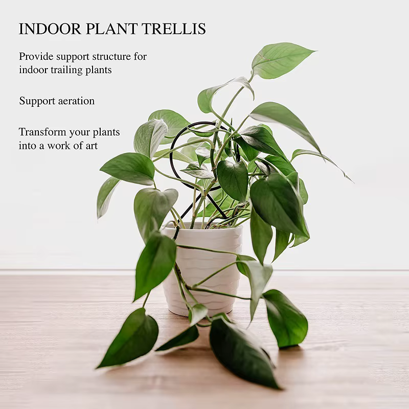 Support d'escalade pour plantes