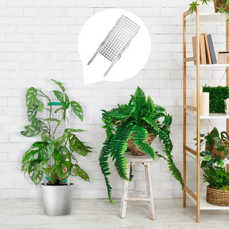 Support en plastique pour plantes vertes