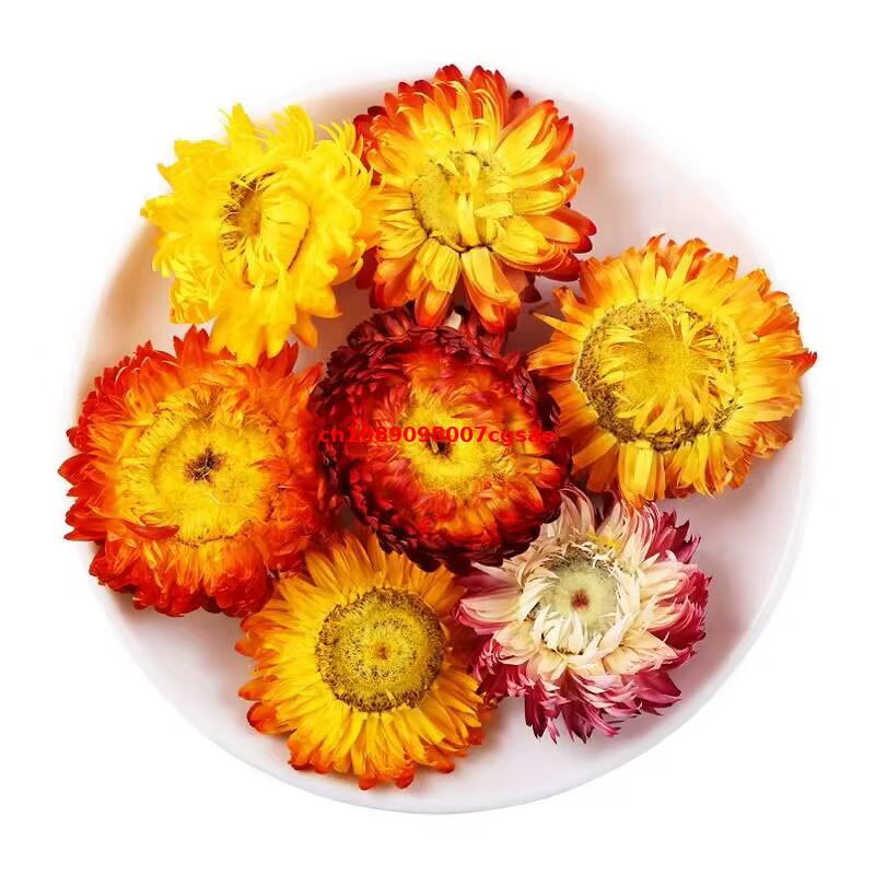 Fleur séchée naturelle d'immortelle de haute qualité