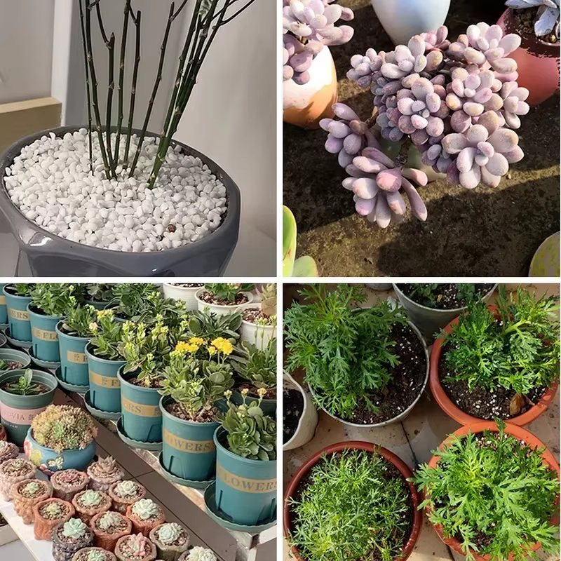 1L/2L Perlite granulés configurer sol nutritif plante pépinière respirant sol libre substrat pour jardin bonsaï