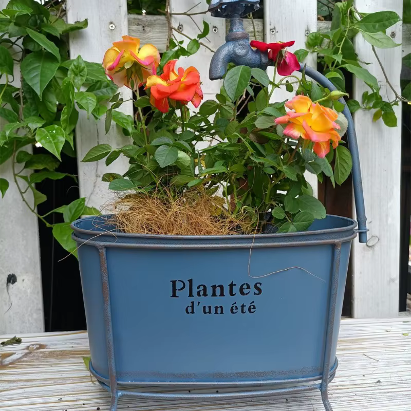 User inière Ovale en Fer pour Plantes de user inage