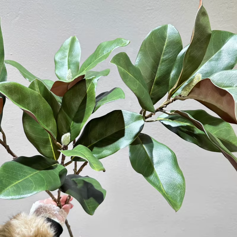 Feuilles de Magnolia artificielles 70CM