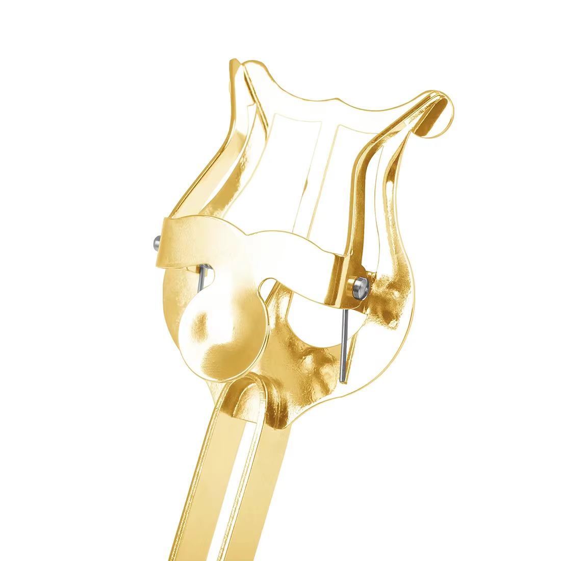 Supports de musique trompette flûte vents Saxophone Alto feuille de marche Portable supports de musique dorés accessoire d'instruments de musique