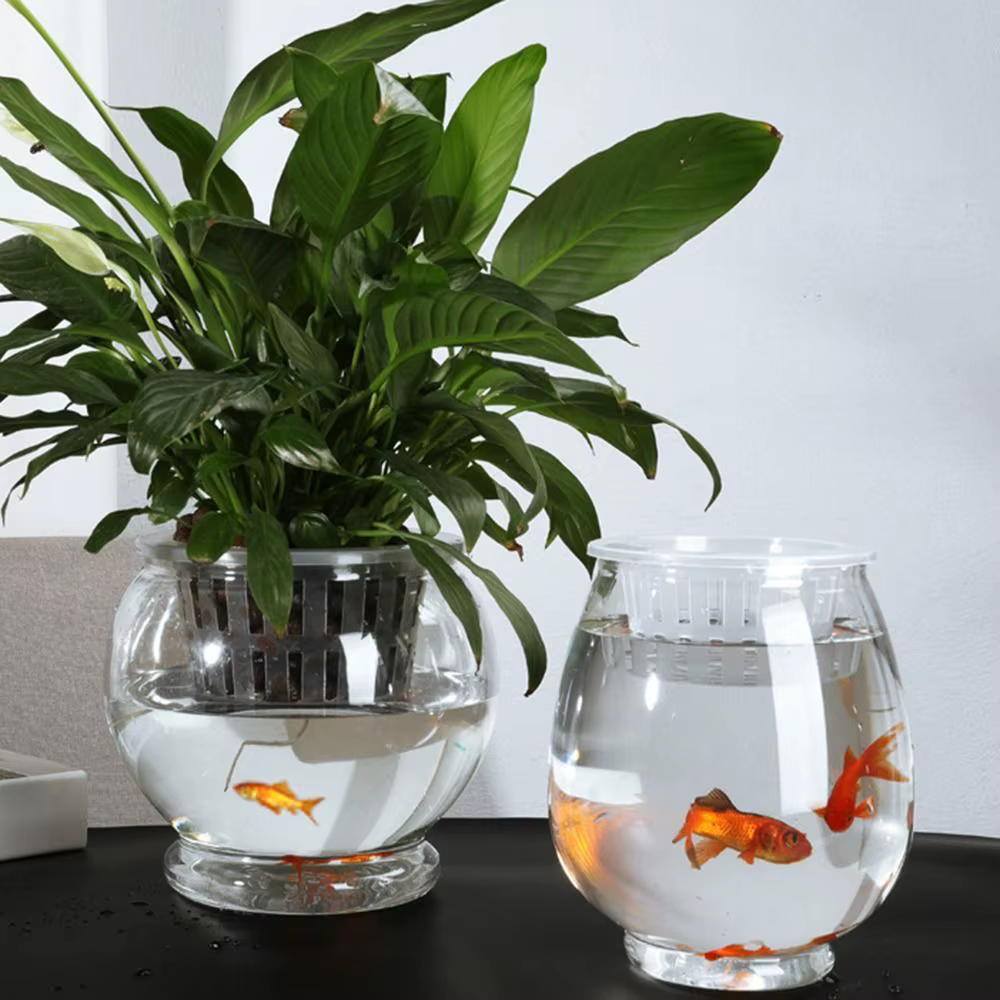 Nouveau pot de fleurs auto-arrosant pour plantes paresseuses