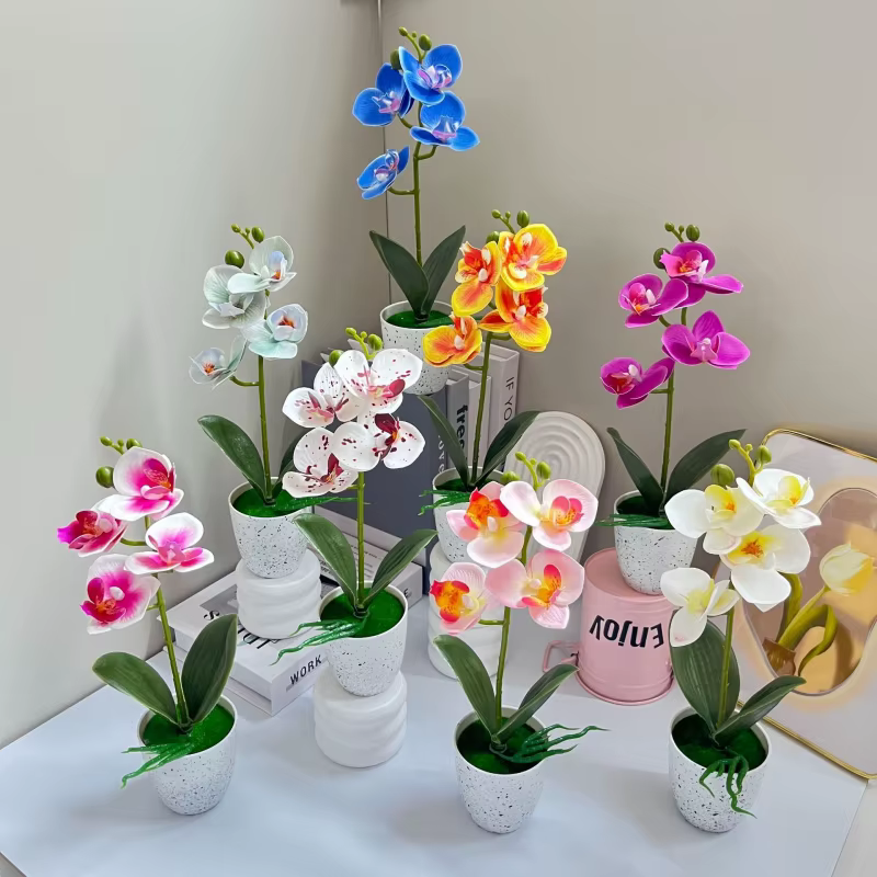 Orchidée Papillon – Ensemble de 4 fleurs en pot – Décoration de salon – Ornement en pot d'orchidée