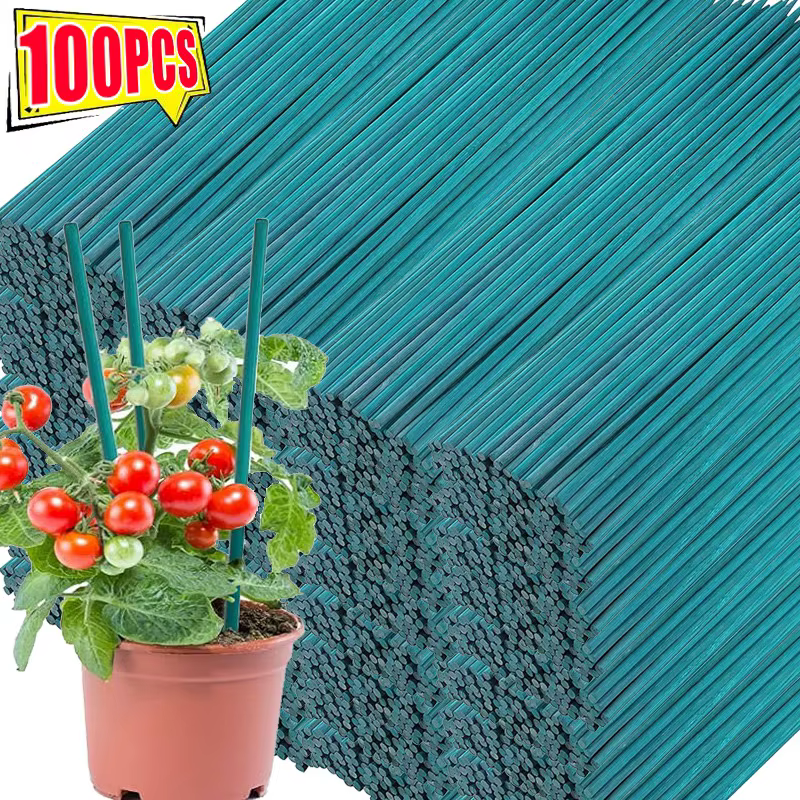 Bâtons de Support pour plantes