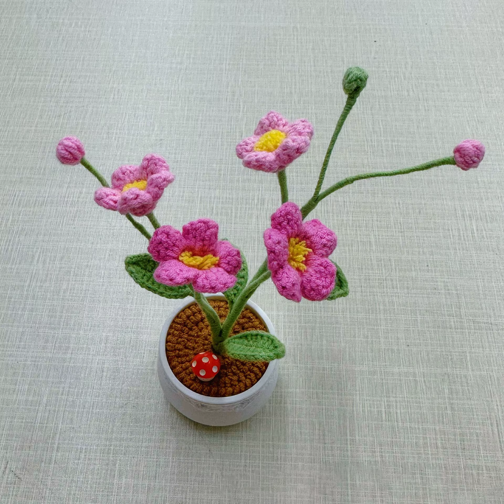 Pot de plante en crochet Oxalis fini à la main