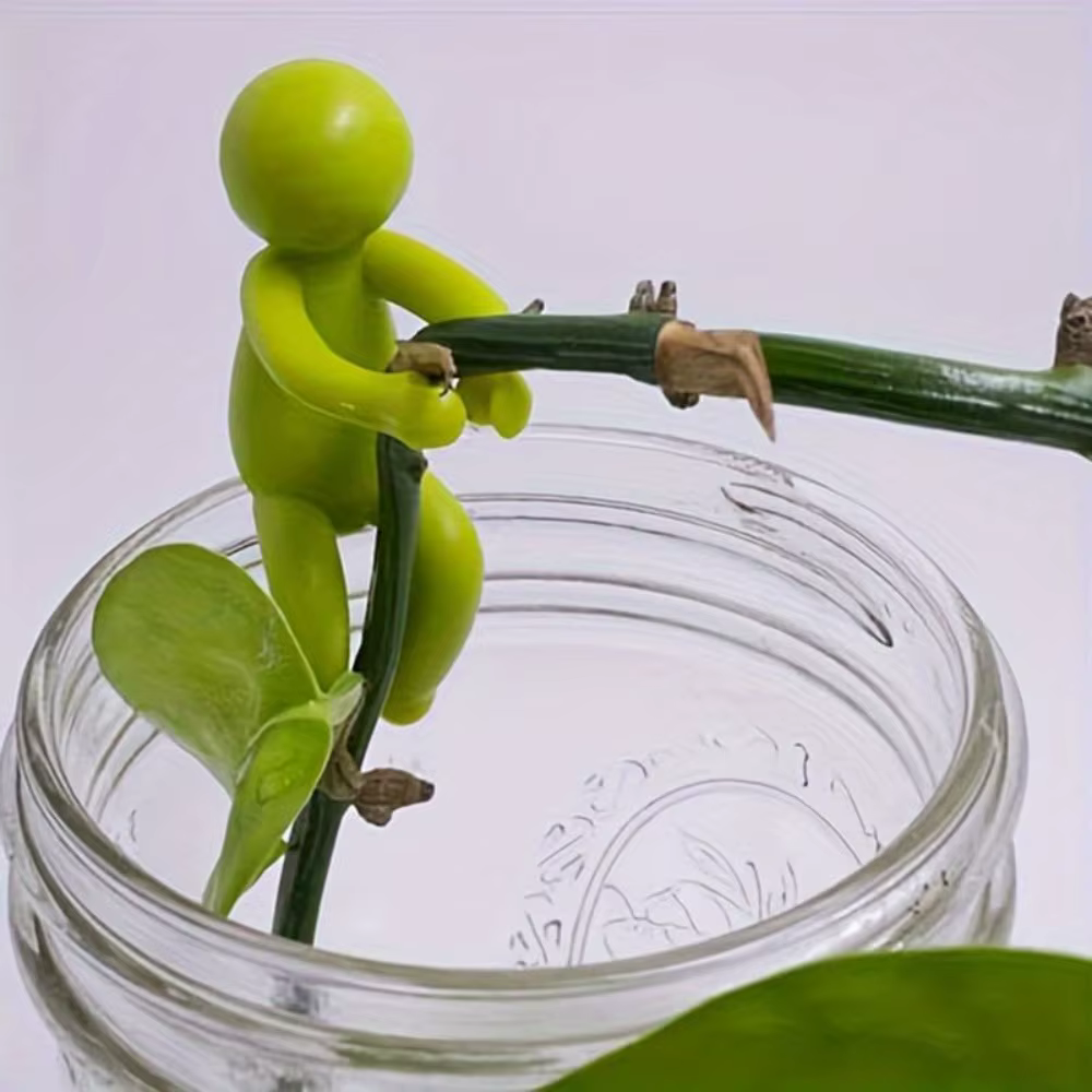 Support de propagation de plantes mignon