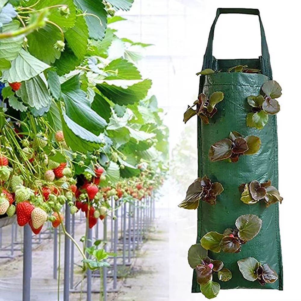 Sac de plantation de fraises suspendu à 6/8/10 trous