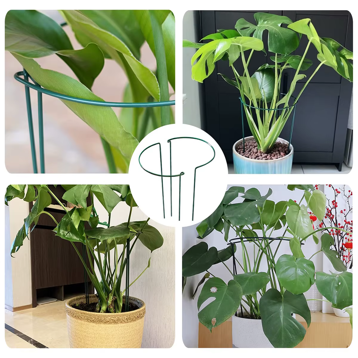 Piquets de Support pour plantes en métal