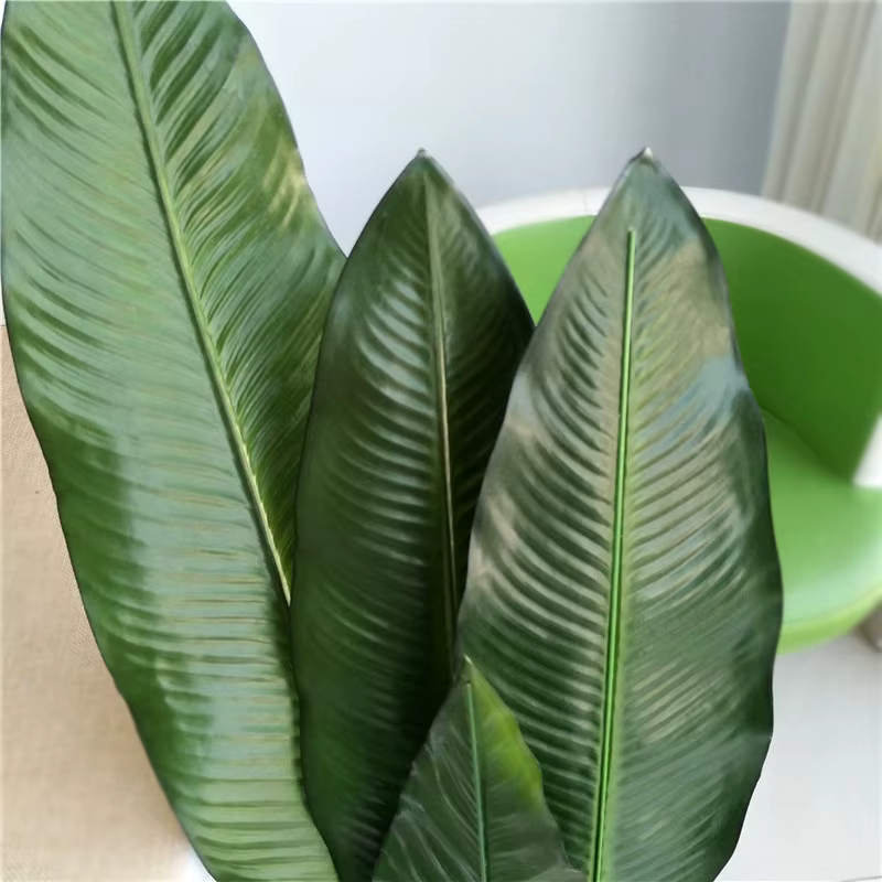 Les feuilles de bananier artificielles et les oiseaux du paradis conviennent aux décorations de maison