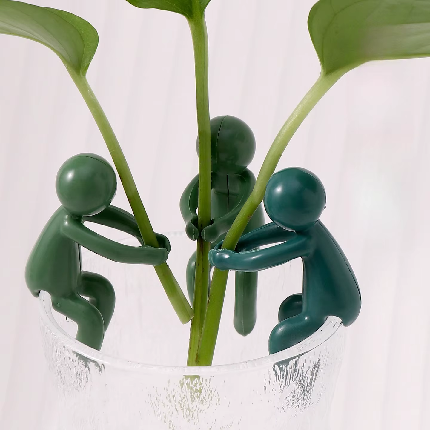 Cadre de Support pour plantes