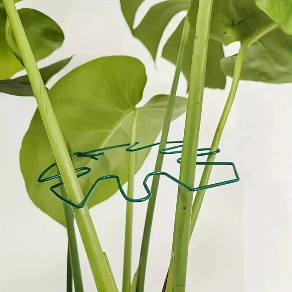 Clips de Support de tige de plante