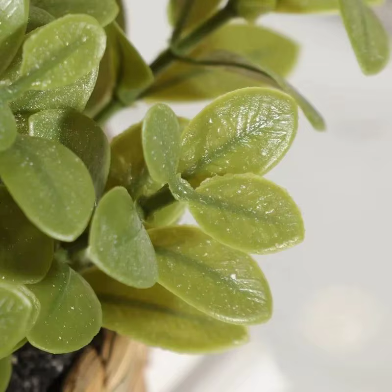 Plante en Pot, petites fausses plantes
