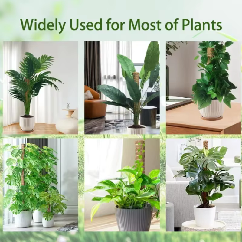 Supports pliables pour plantes grimpantes