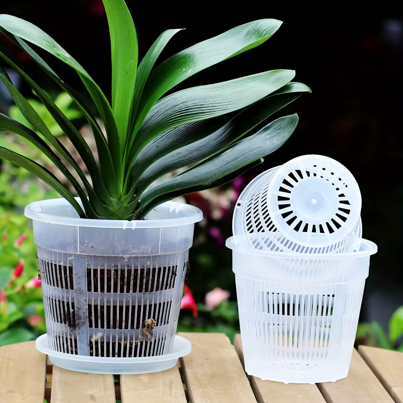 Lot de 6 pots à orchidées transparents avec trous de drainage