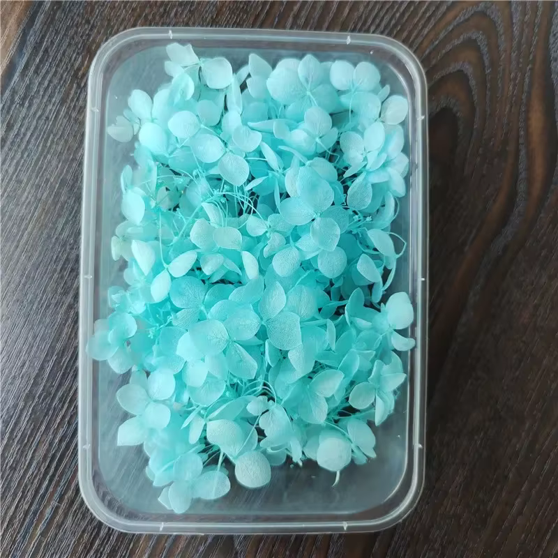 Couverture en verre de fleur préservée de la vie éternelle d'hortensia Anna