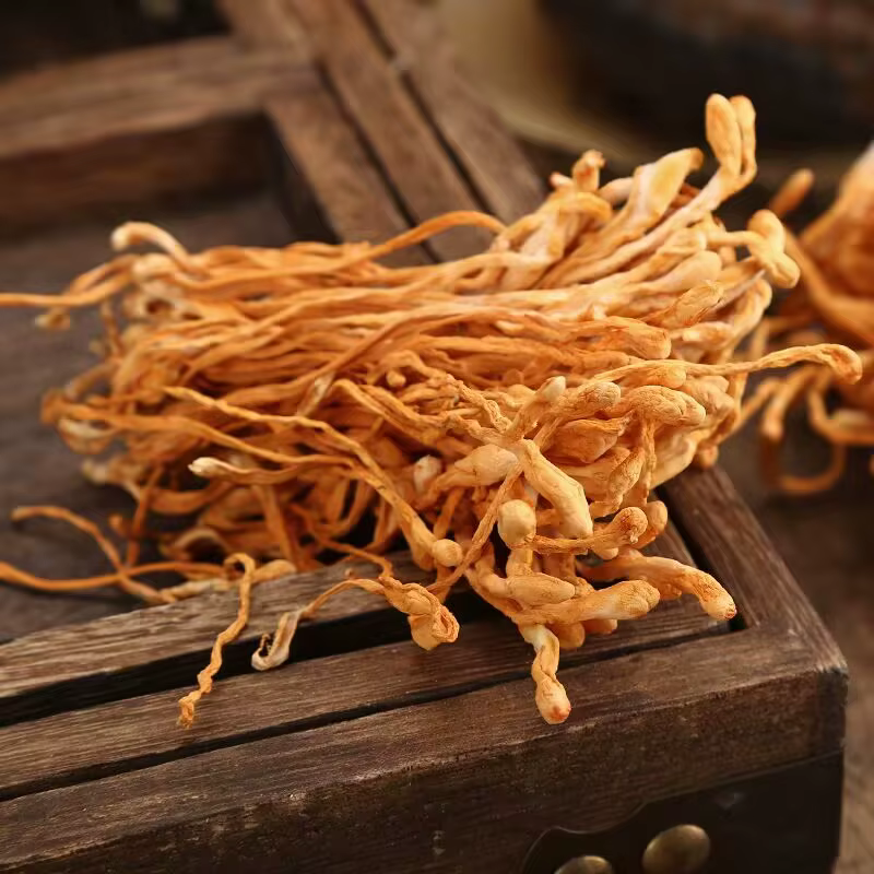 Fleur de Cordyceps séchée naturelle de qualité supérieure