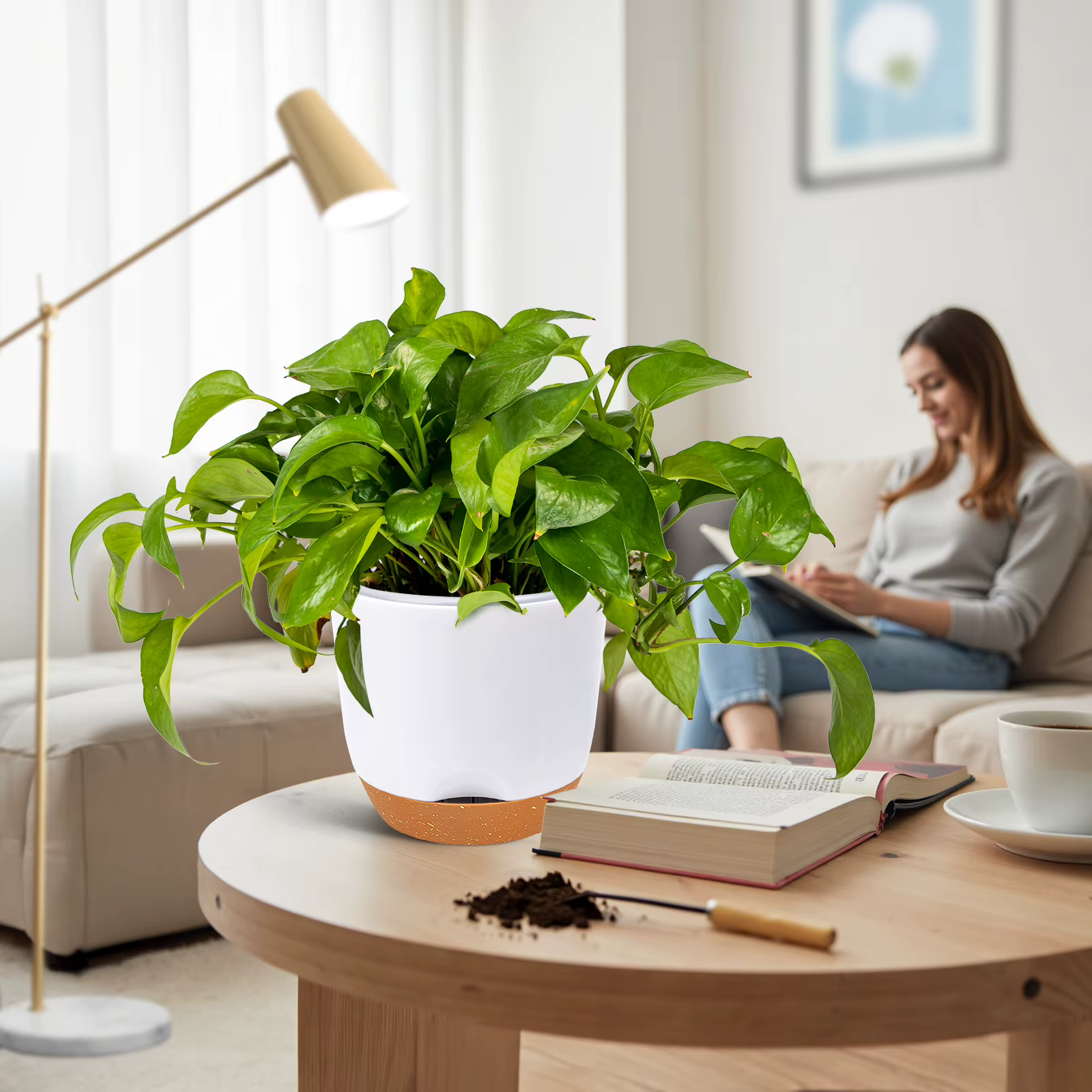Pots d'orchidées avec trous pour repérage