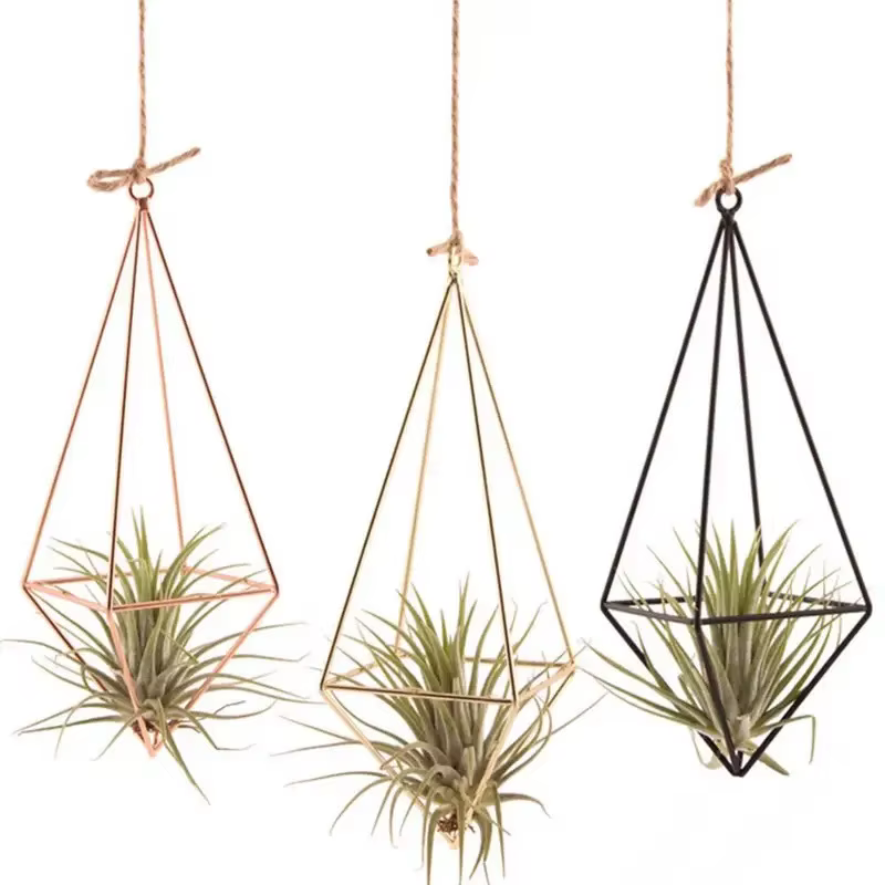 Cintre mural moderne en macramé pour fleurs