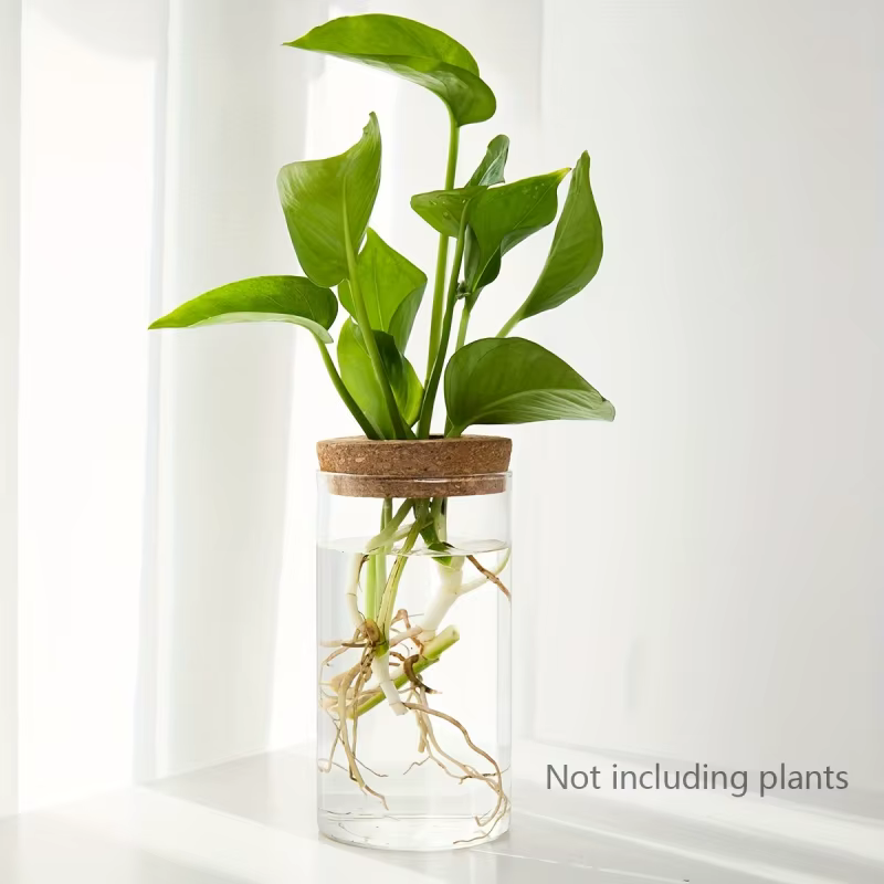 1pc, Vase de jardinière en verre de bureau pour plantes hydroponiques pour la décoration de la maison