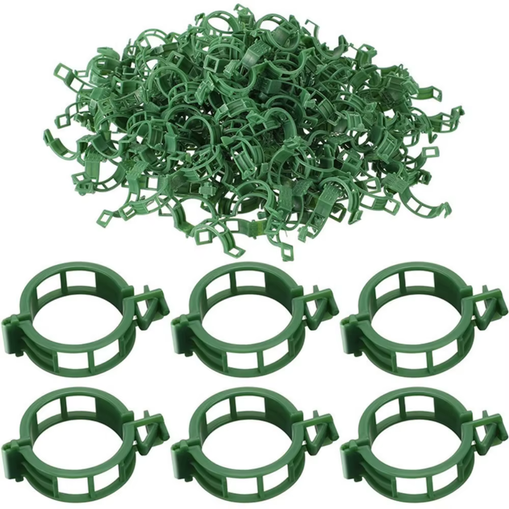 100 attaches pour plantes en plastique