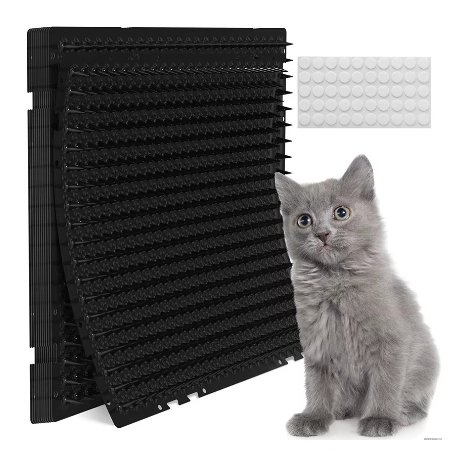 Répulsif pour chats, accessoires pour plantes