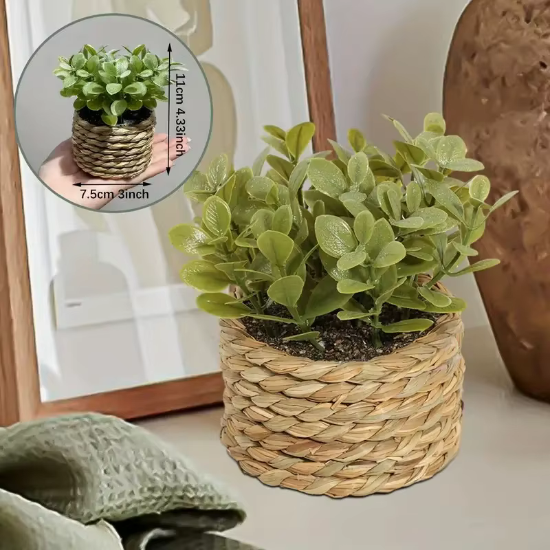 Plante en Pot petites fausses plantes