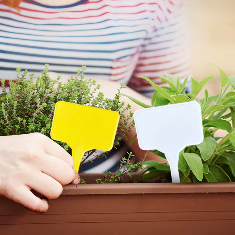 Étiquettes pour plantes en plastique en forme de T