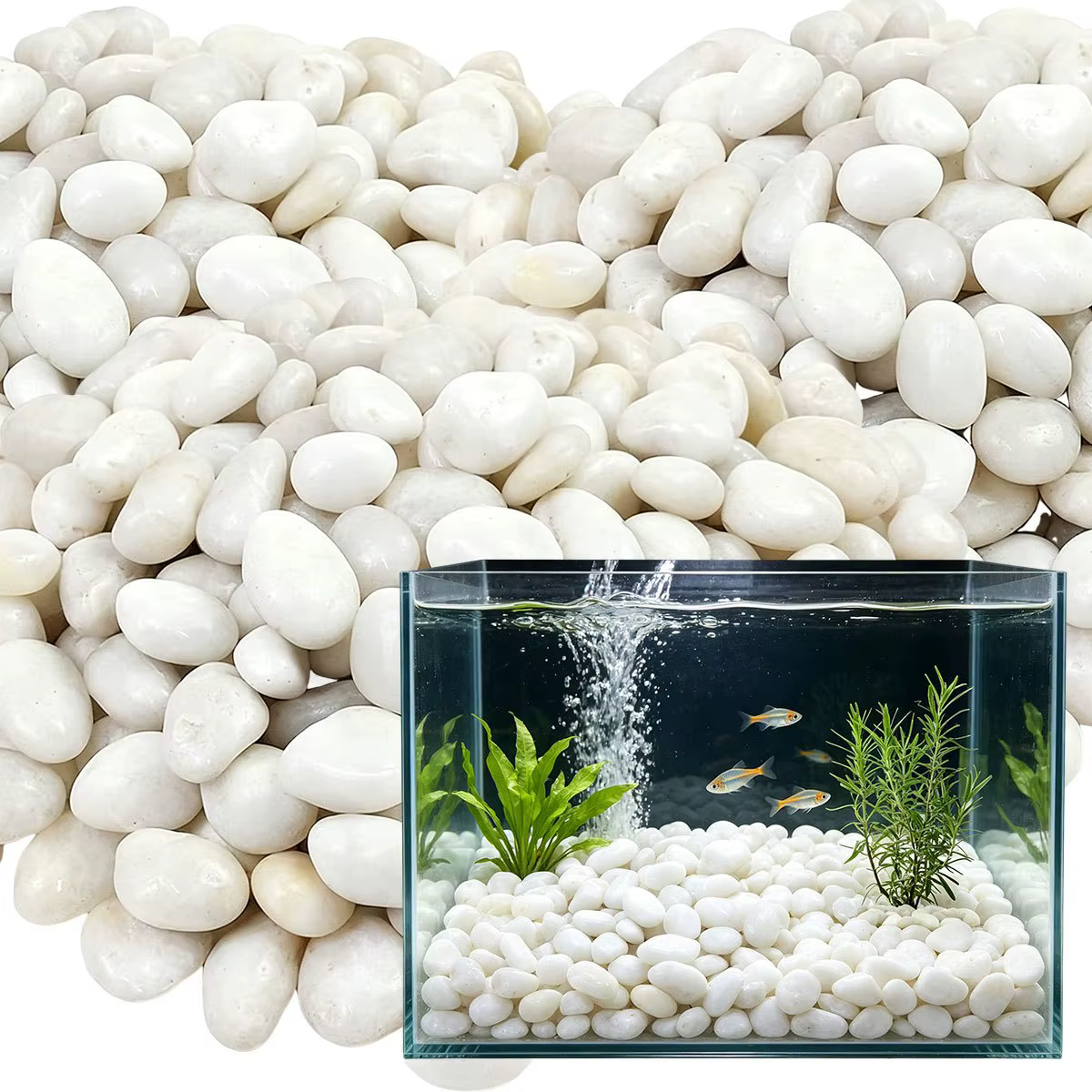 Galets naturels blancs hautement polis de 350 g