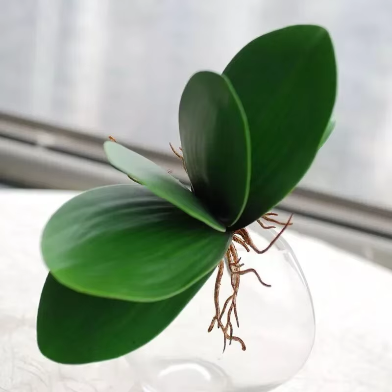 Fleur de simulation du cuir chevelu d'orchidée