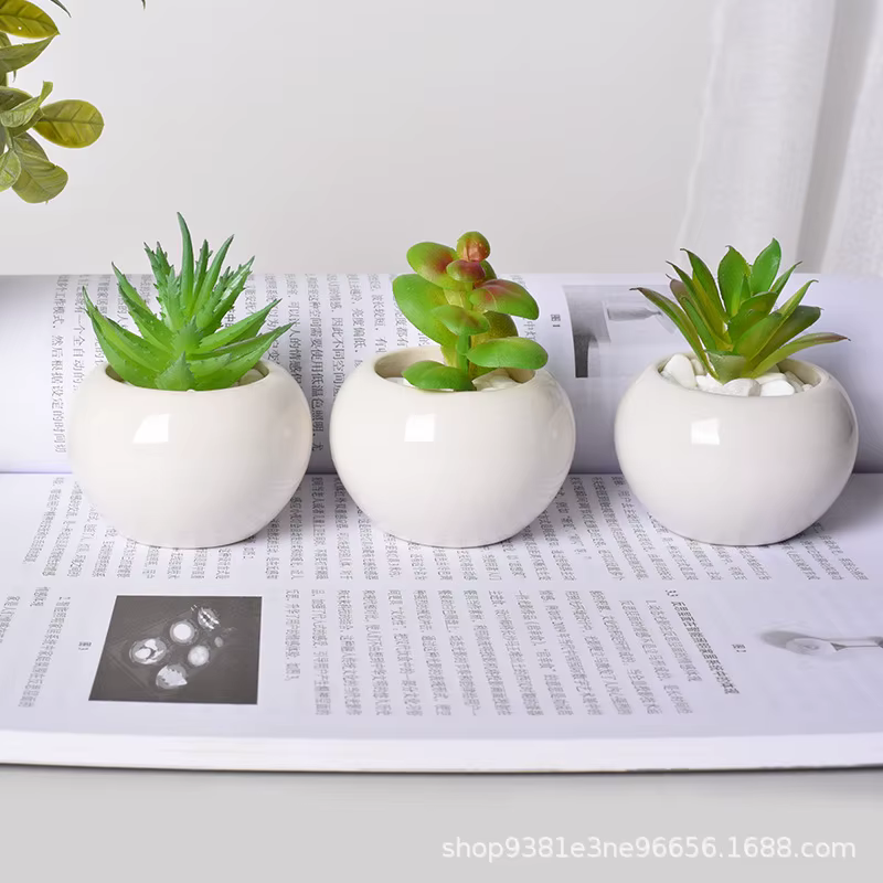 Petit pot rond en céramique pour plantes succulentes