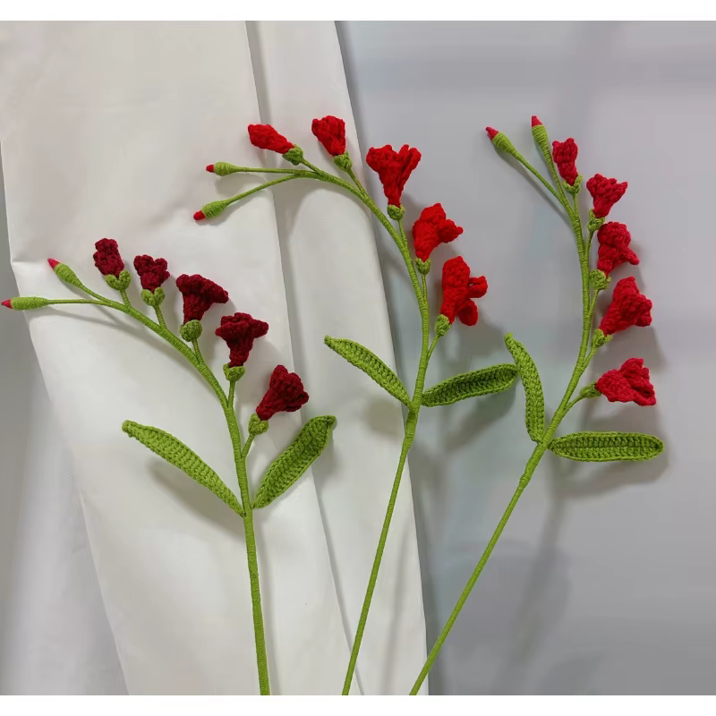 Bouquet de fresie tissé à la main