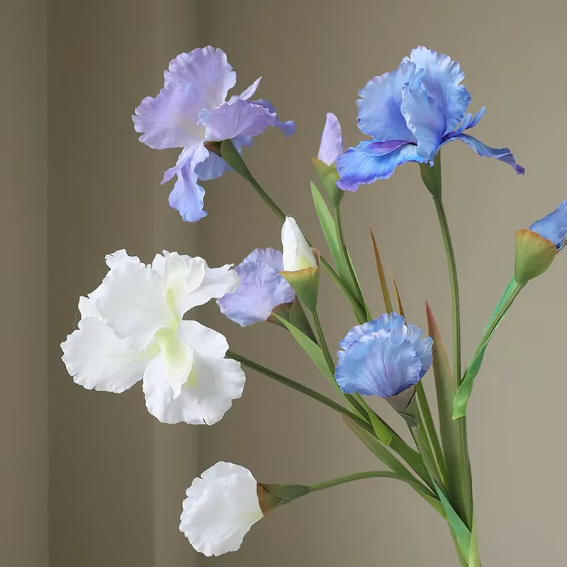 77CM Iris fleur