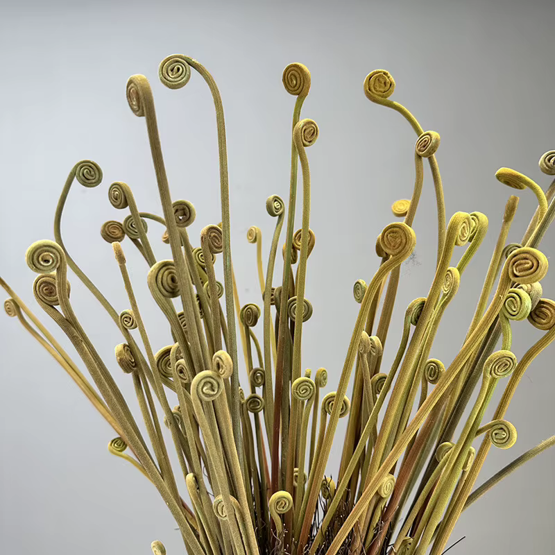 Nouvelles plantes artificielles de germes de fougère floquées pour la maison décor de Table de mariage fleur