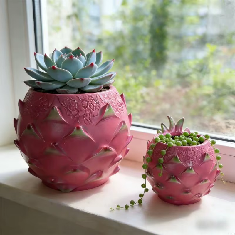 Pots plantes succulentes