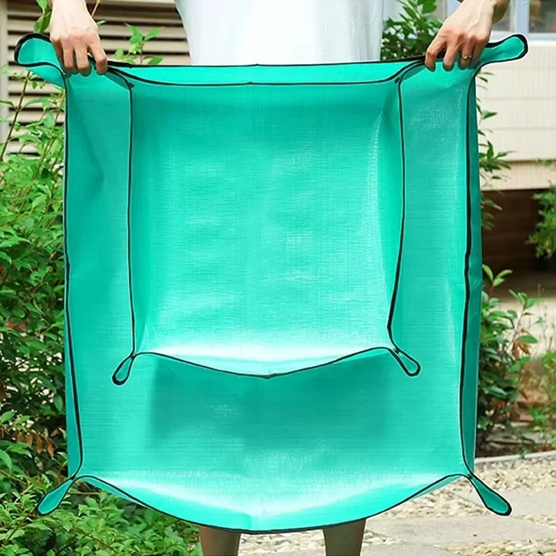 Tapis de régénération des plantes