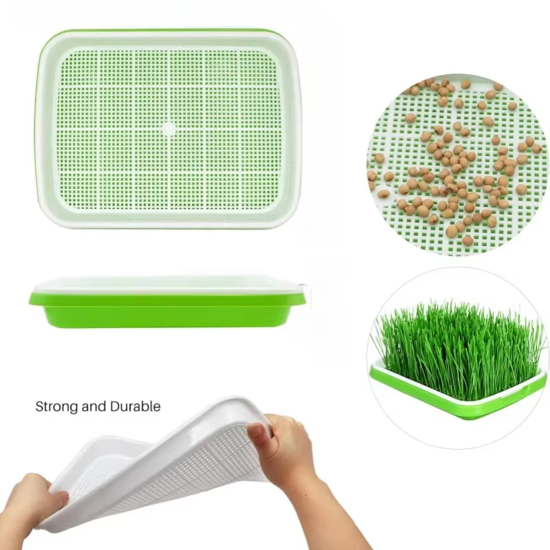 Plaque de germination hydroponique sans sol avec couvercle