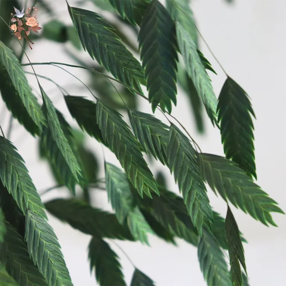 Bouquet de fleurs de Chasmanthium Latifolium séchées naturelles