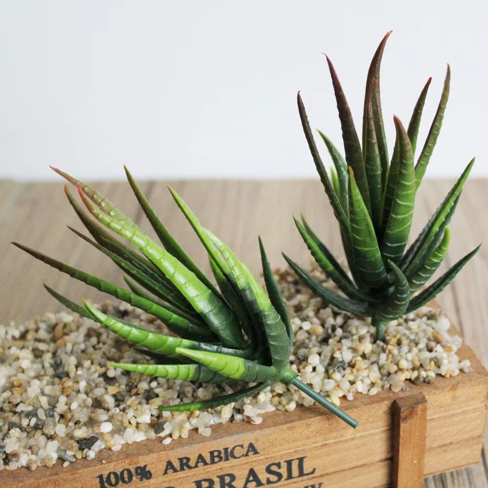 Vert rose jaune zèbre Aloe plantes succulentes artificielles maison jardin décoration bricolage
