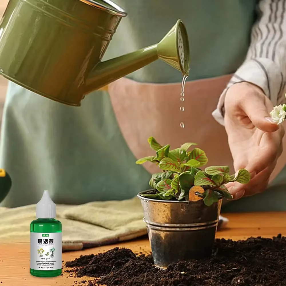Liquide de résurrection revitalisant pour plantes 50ml concentré