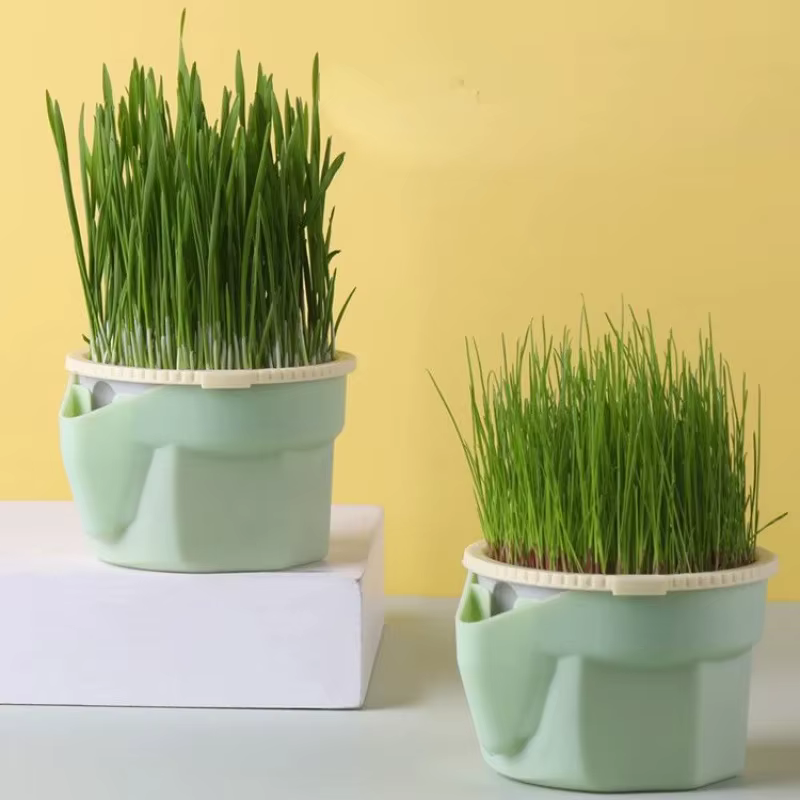 Nouveau plat de germe de chat pour animaux de compagnie Pot de culture plante hydroponique