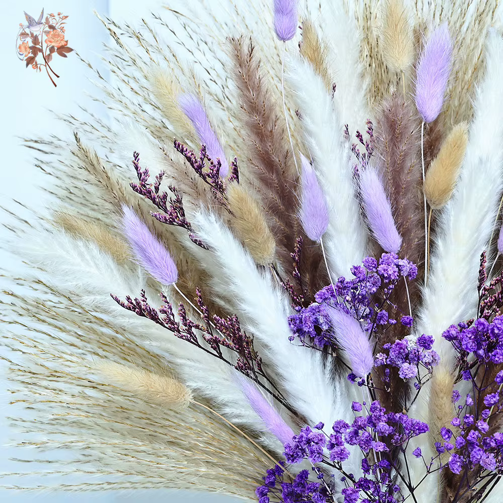 70 tiges séchées violet souffle de bébé queues de lapin herbe fleurs Bouquet décoratif chambre salon Vase remplissage Pampas décor à la maison
